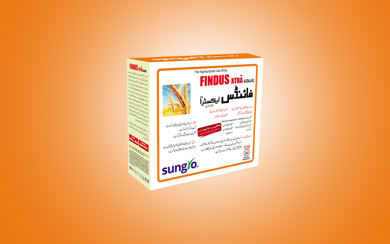 Findus Extra 100gm