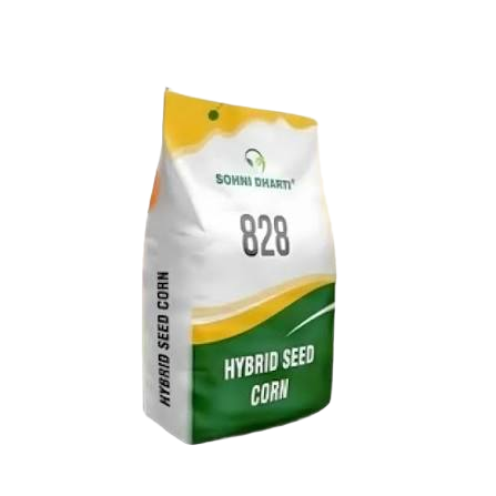 828 Hybrid Corn Seed 10kg Sohni Dharti 