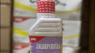 Chlorpyrifos Insecticide