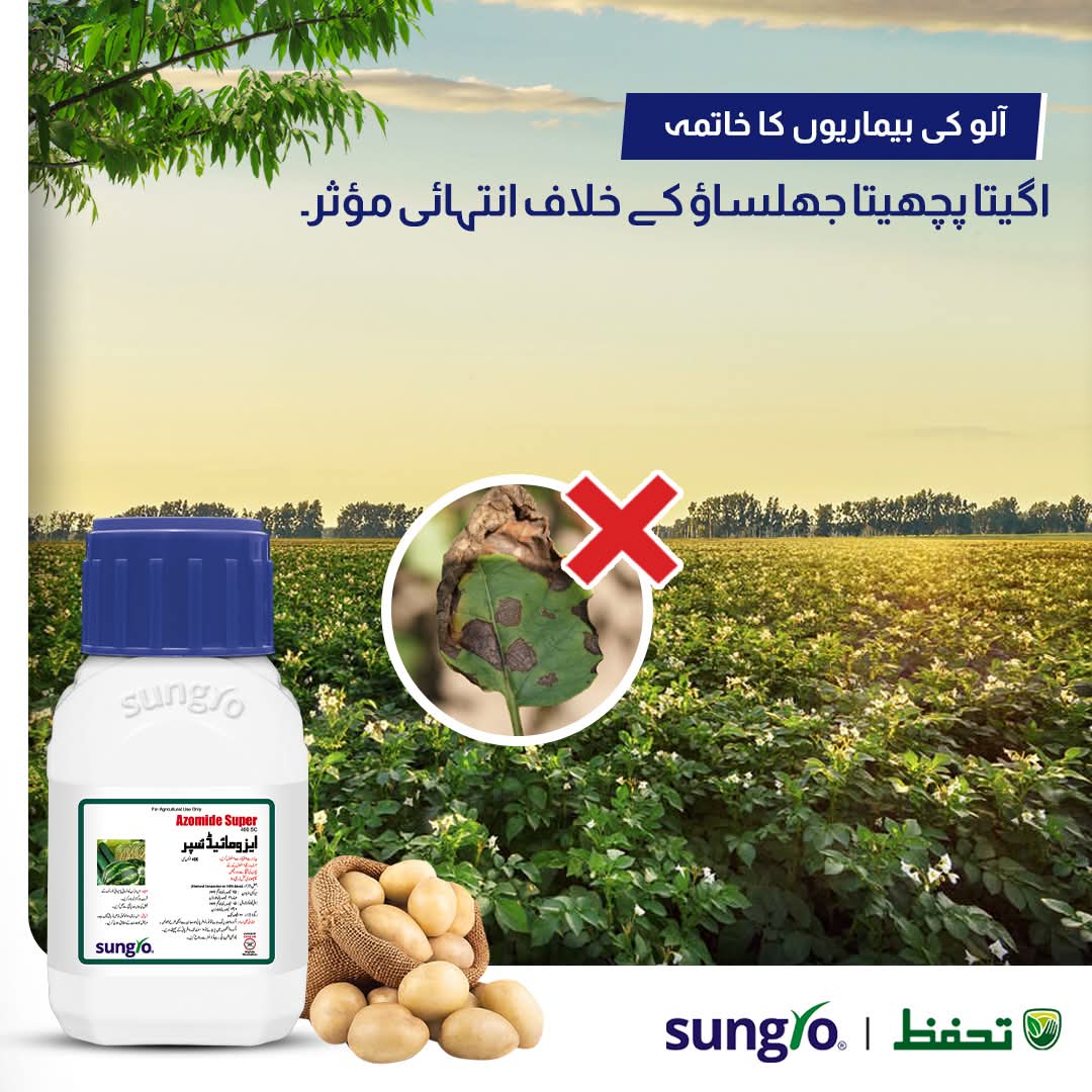 Azomide Super Fungicide