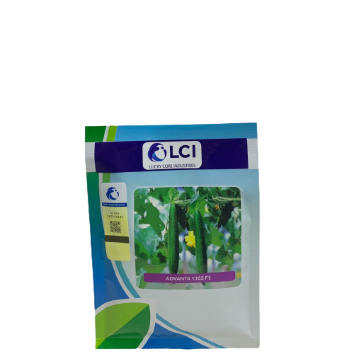 Advanta 1102 F1 ICI Sponge Gourd Tori 50 Seeds 