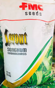 Sprout Forage Sorghum Hybrid Seed 