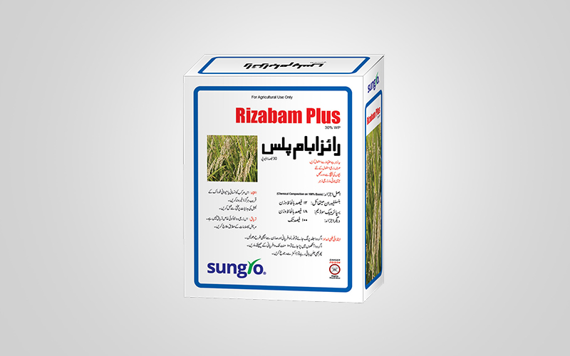 Rizabam Plus 100 gm