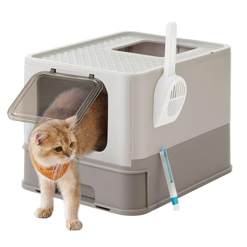 Caja de arena para gato