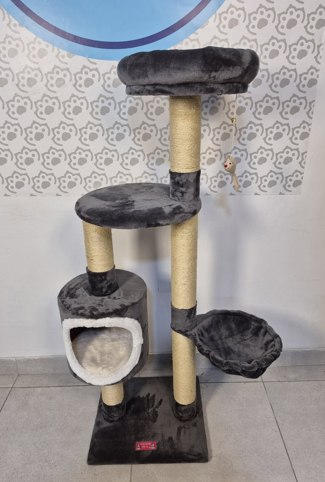 Gimnasio venecia (3 - 4 gatos)