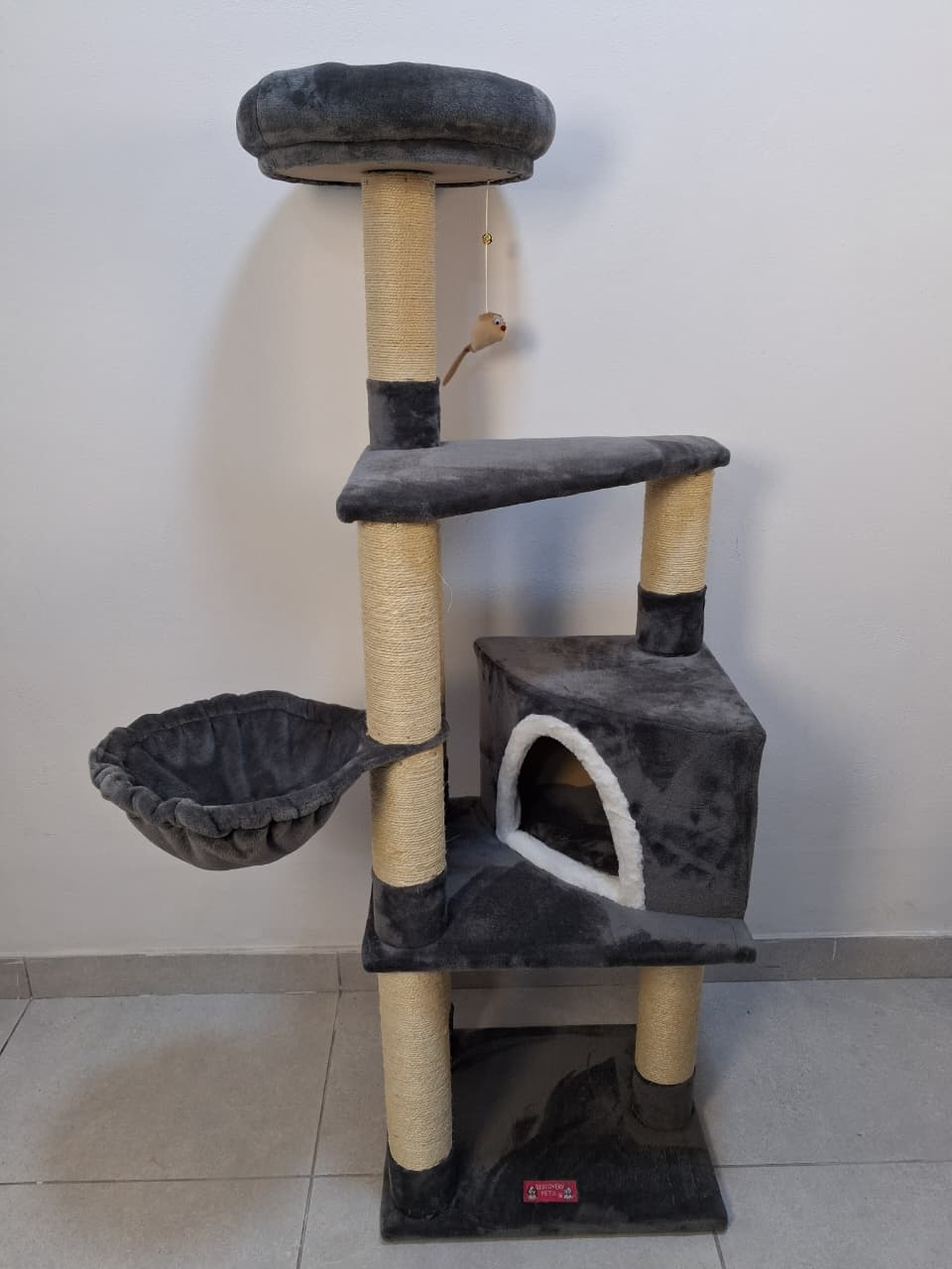 Gimnasio siberia 4 gatos