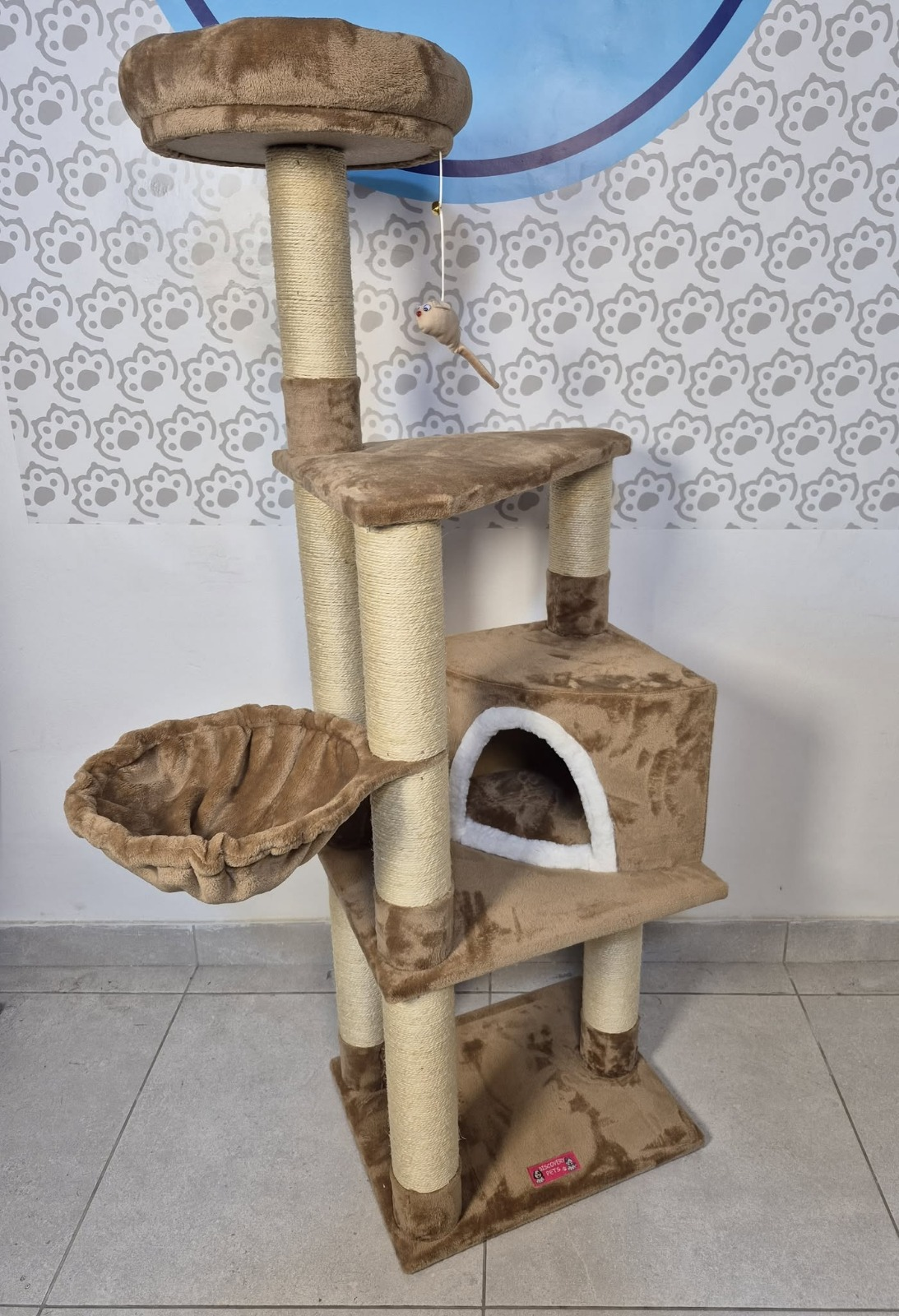 Gimnasio siberia 4 gatos