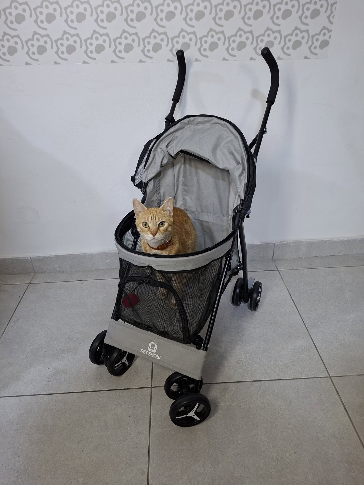 Coche ligero para gatos o perros