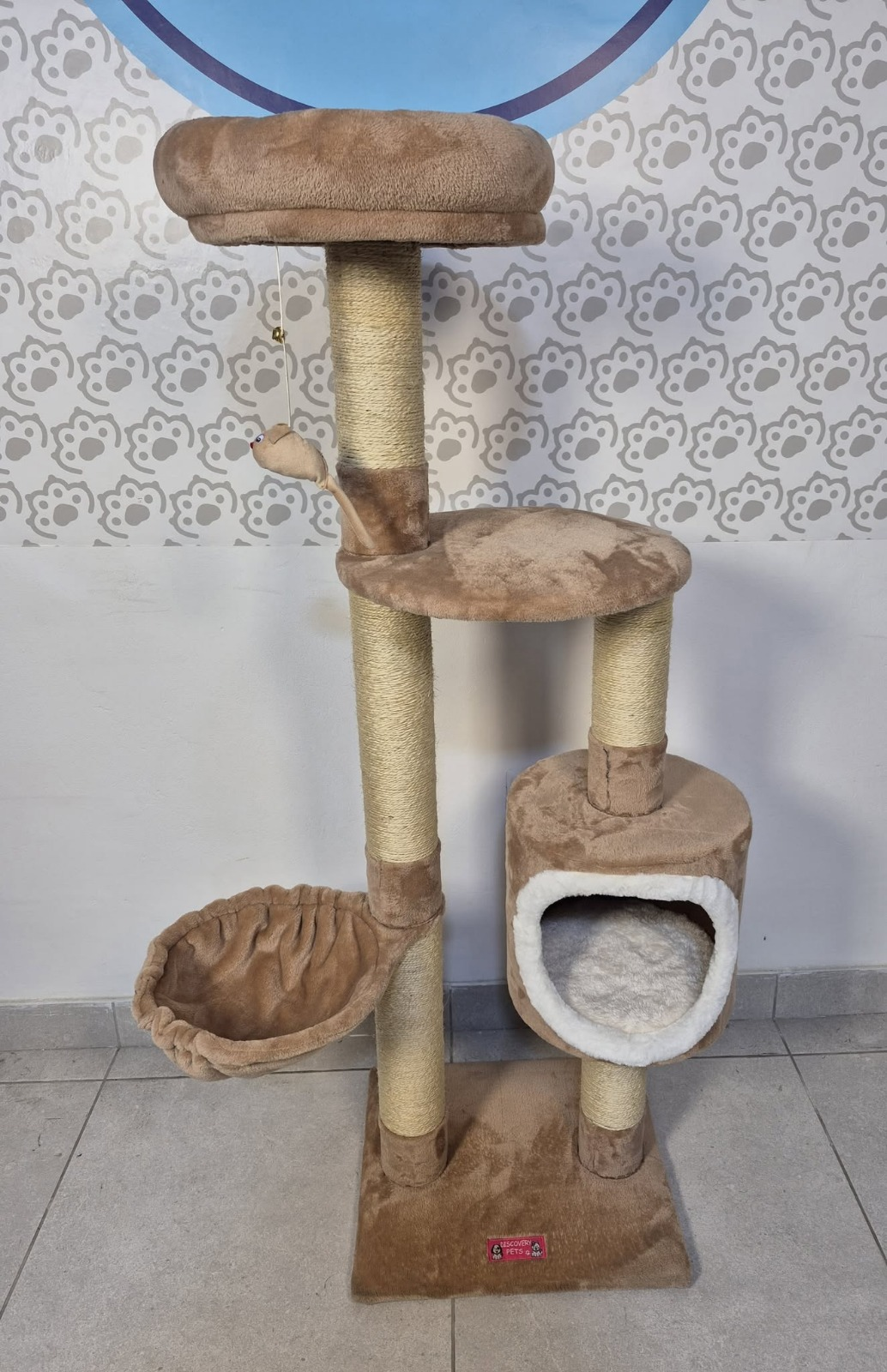 Gimnasio venecia (3 - 4 gatos)