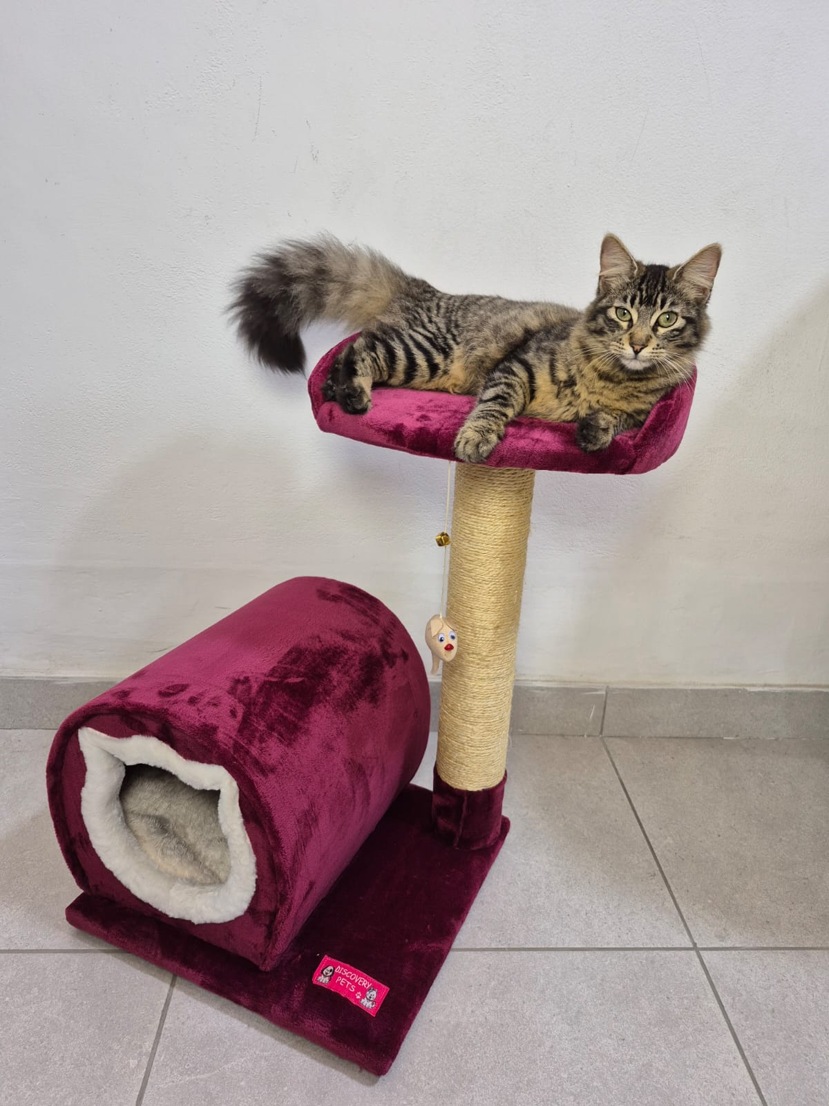 Cabaña cara de gato (1 - 2 gatos)