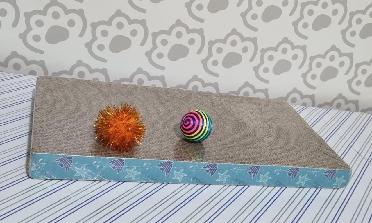 Rascador rectangular