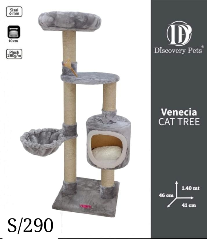 Gimnasio venecia (3 - 4 gatos)