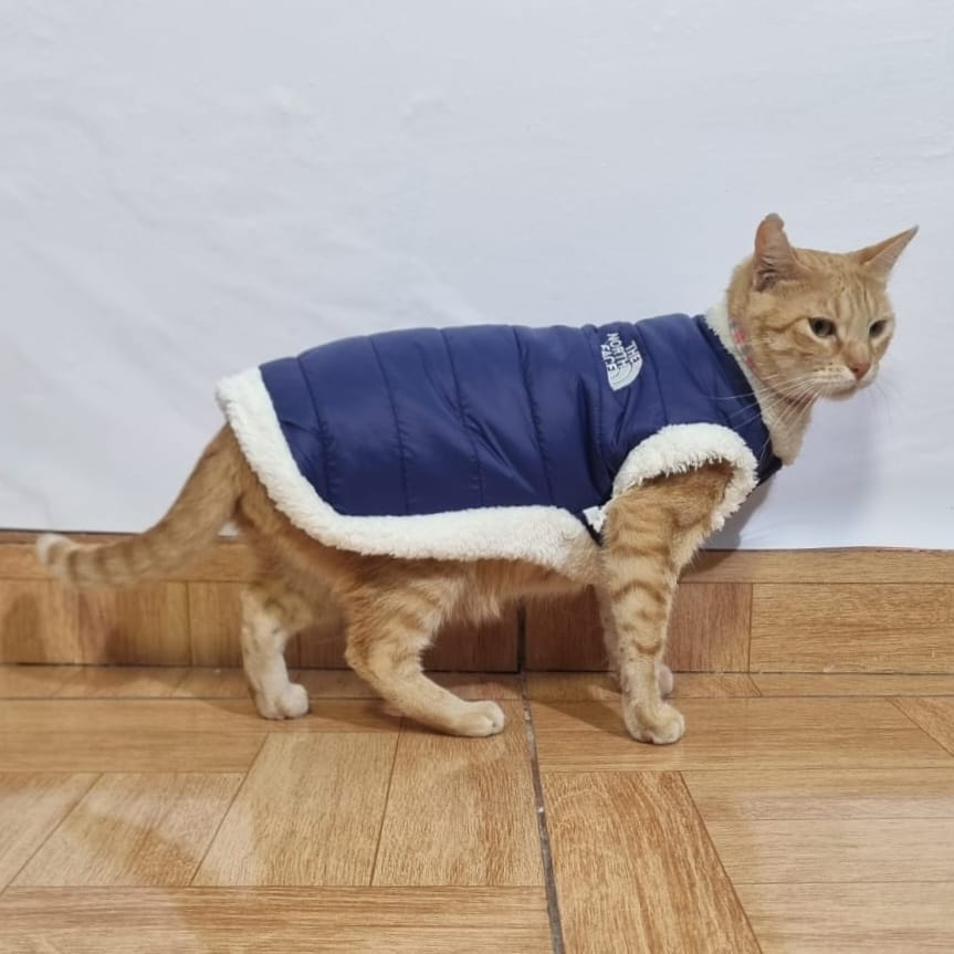 Chaleco North Face para gato