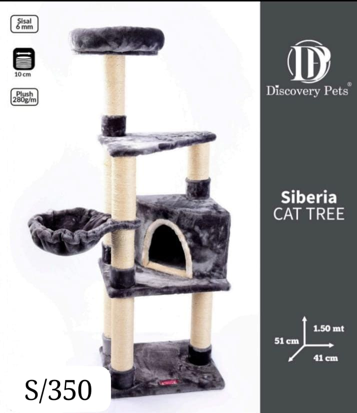 Gimnasio siberia 4 gatos