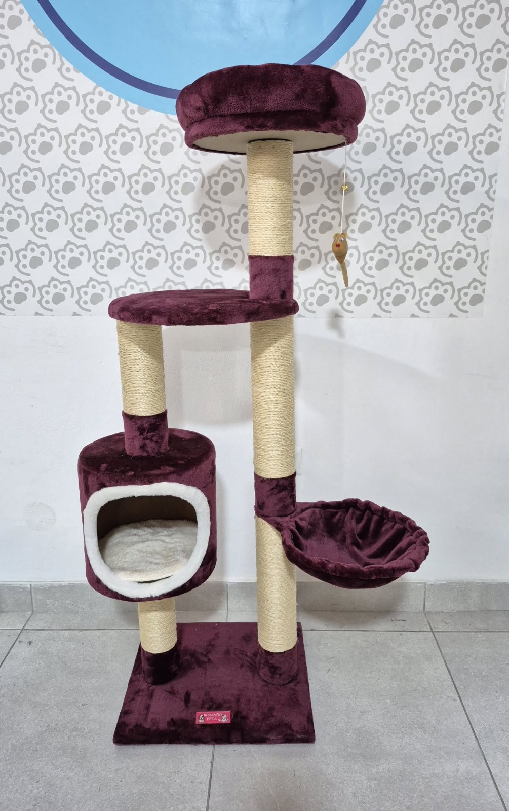 Gimnasio venecia (3 - 4 gatos)