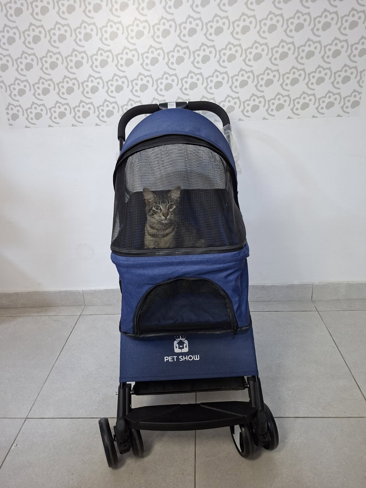 Coche 3 en 1 plegable para perros o gatos