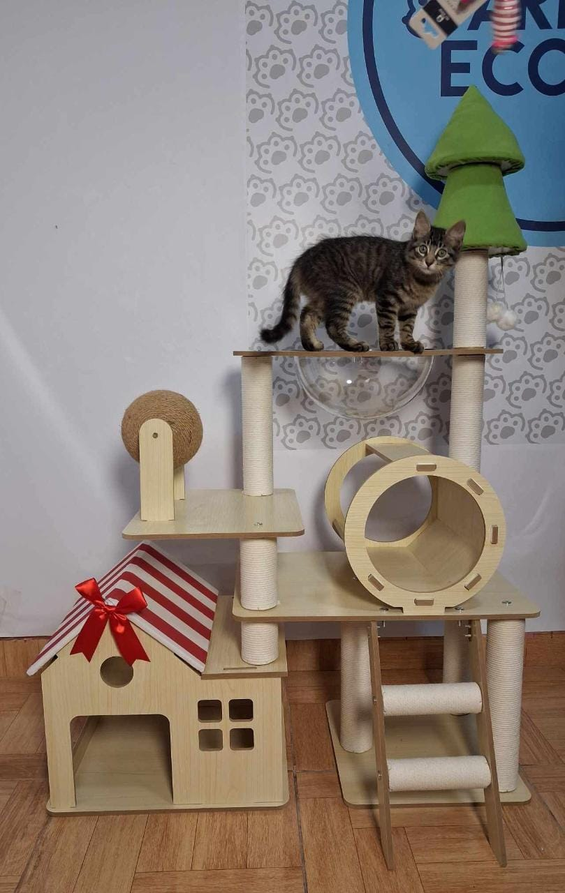 Rascador casa con escalera