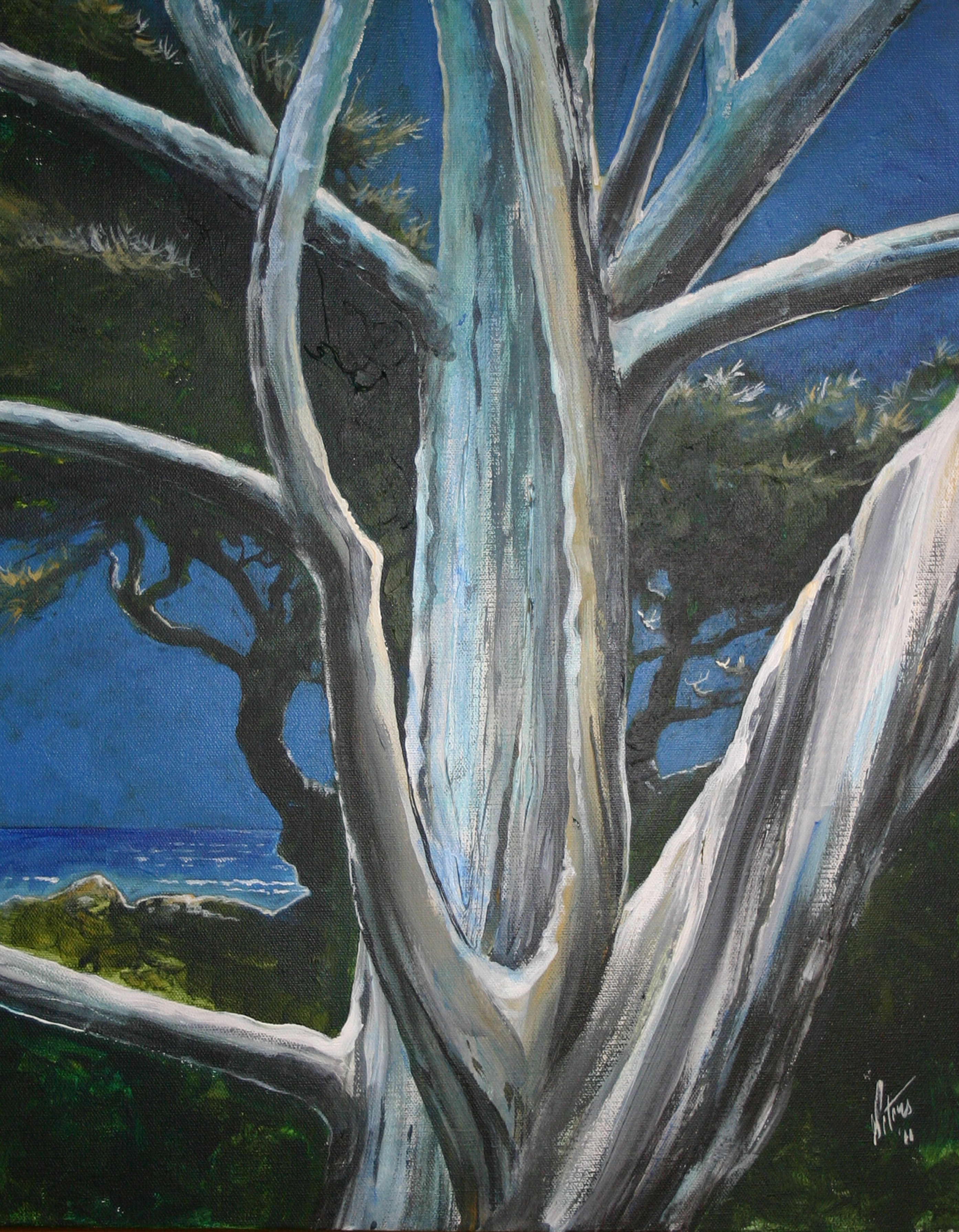 Big Sur at Night (Nocturne)