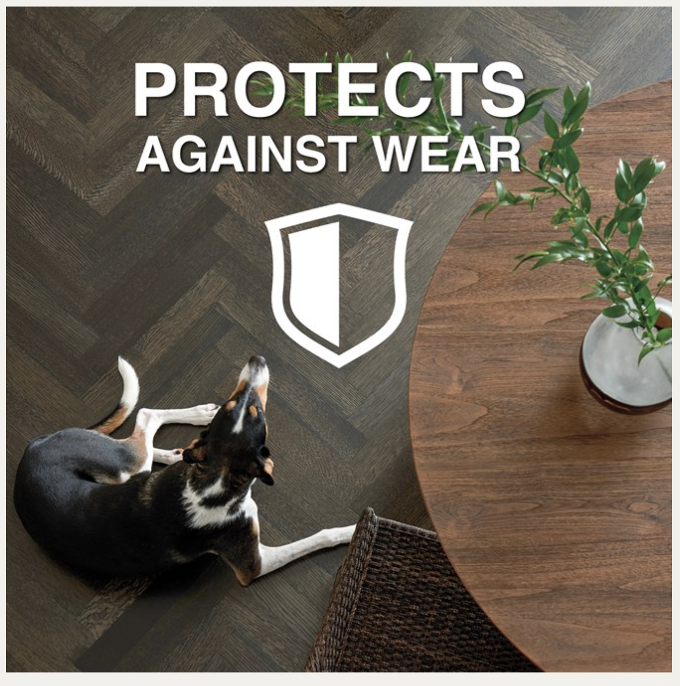 Bona restaurador para pisos de madera Bona, brillo suave