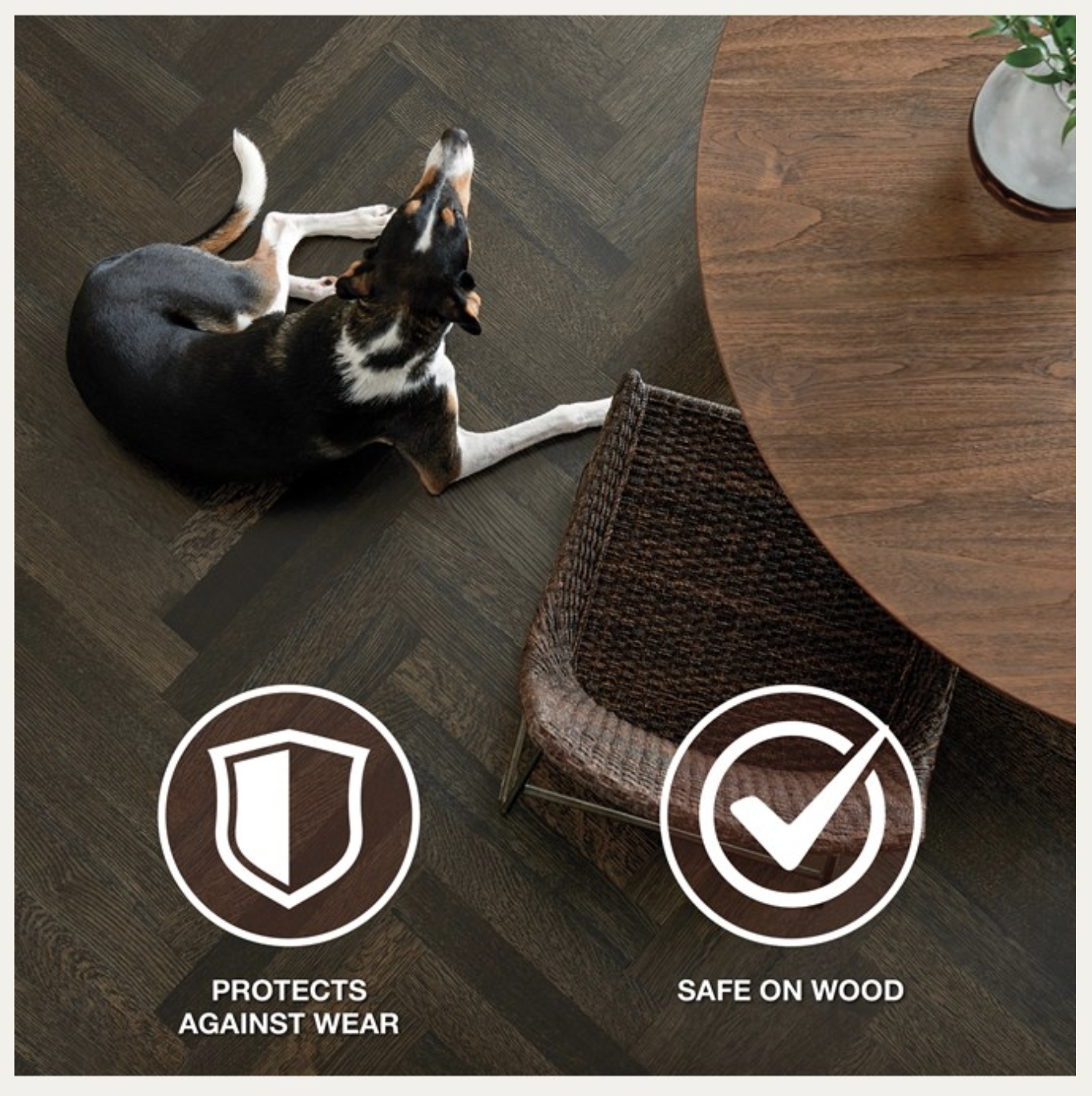 Restaurador para Parquet y Tarima, Brillo Wood floor refresher