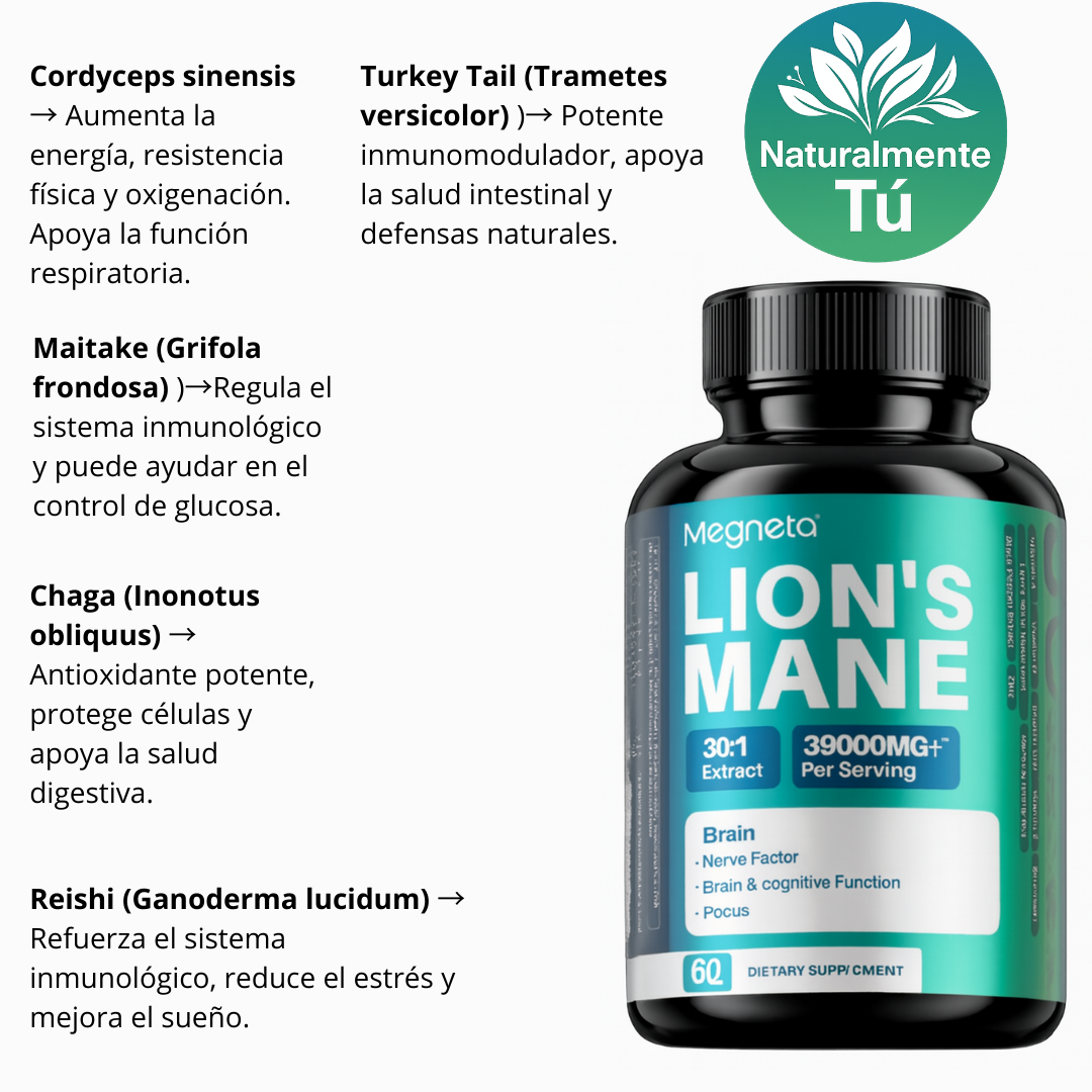 Lion’s Mane (Melena de León) 30:1
