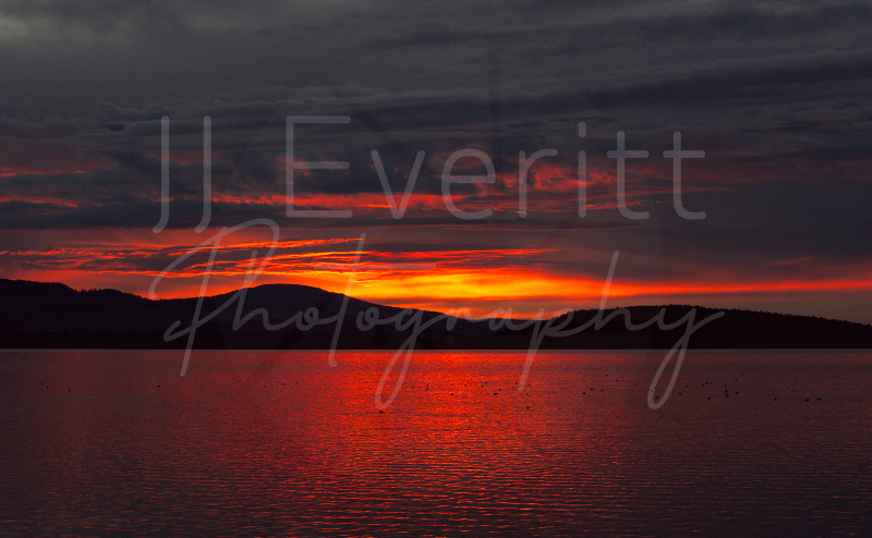 Sunset Landscape 8x10 Image