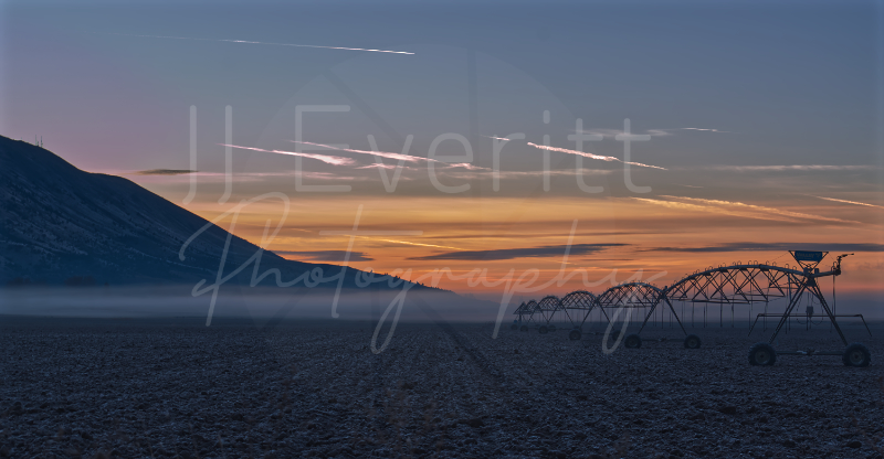 Frosty Field 11x14 Image. 