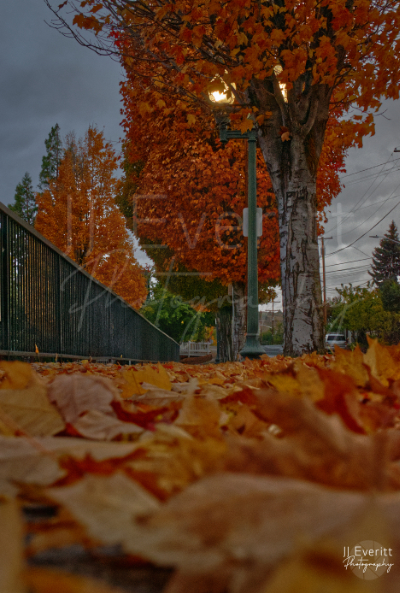 Orange City 11x14 Image.