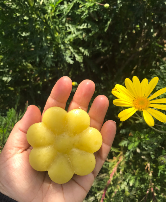 Acondicionador Sólido