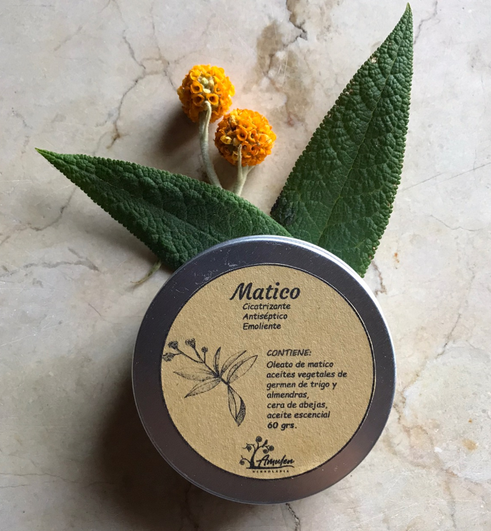 Pomada de Matico