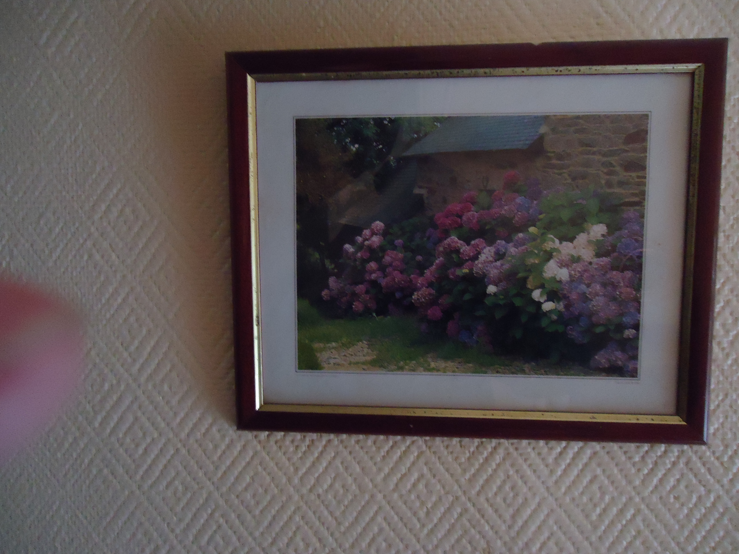 Tableau encadré de jardin fleuri