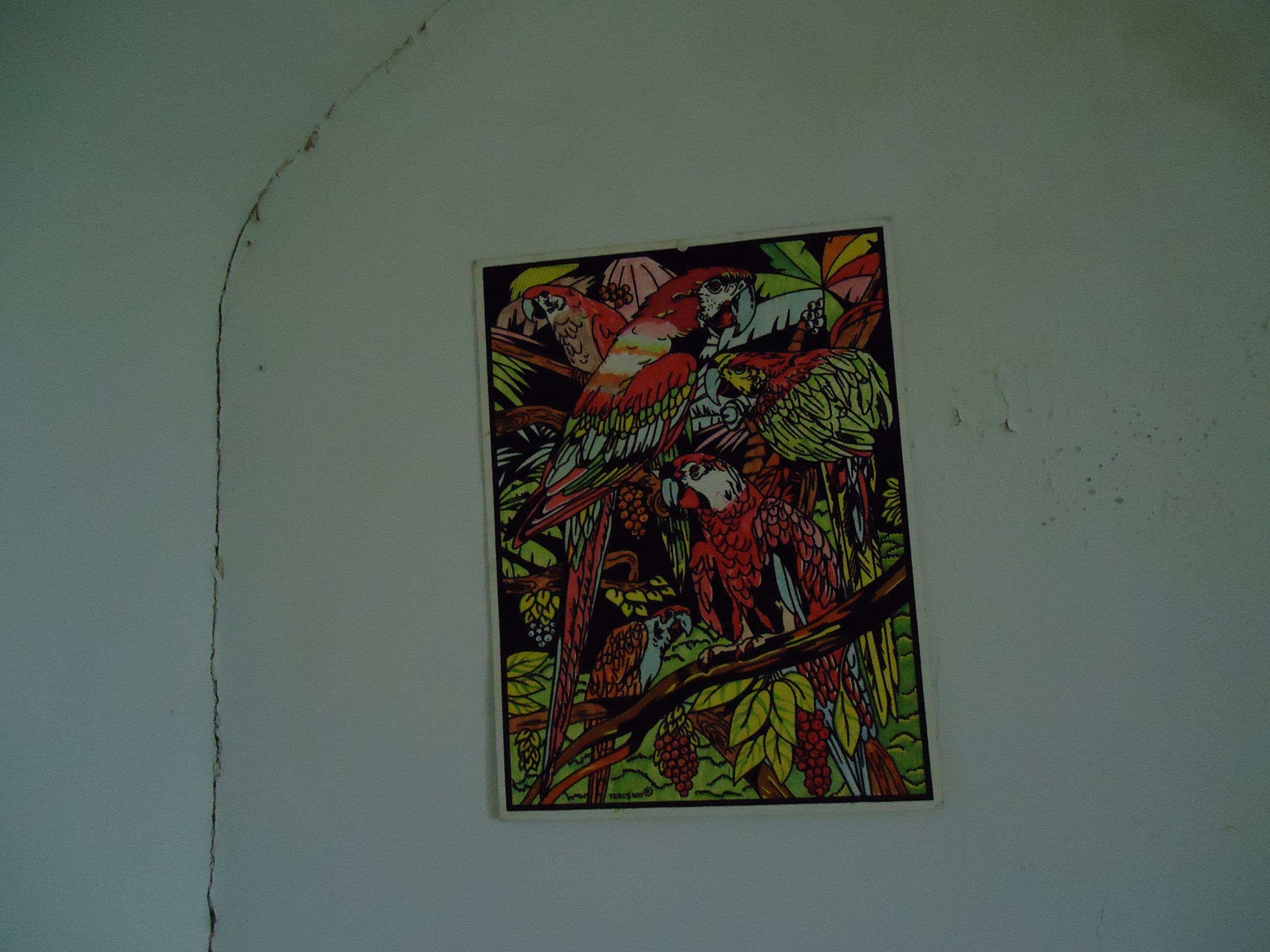 Tableau d'art perroquet