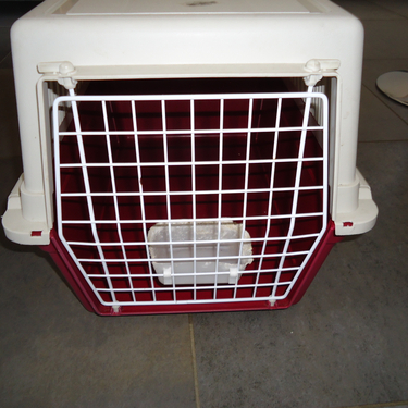 Cage de transport pour animaux