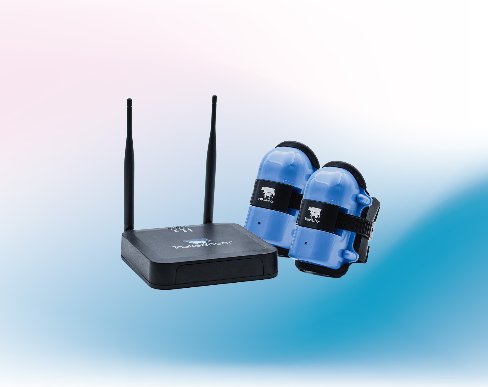 Standart Paket İçeriği