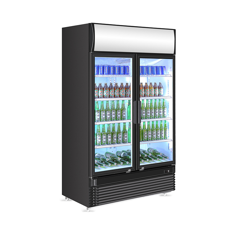 750L Double Hinge Glass Doors Upright Cooler with Canopy