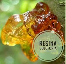 Resina Colofonia