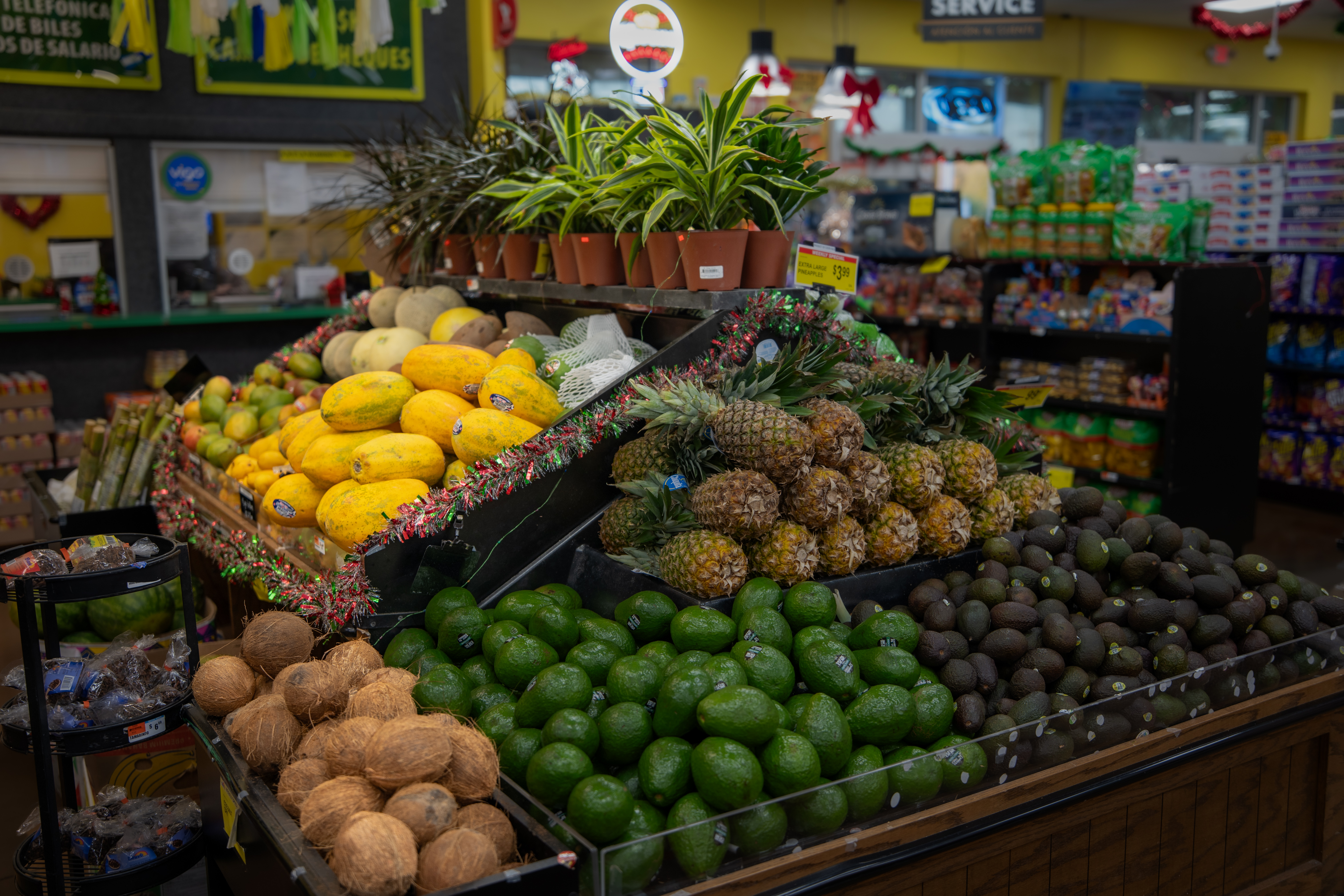 Frutas Tropicales Frescas