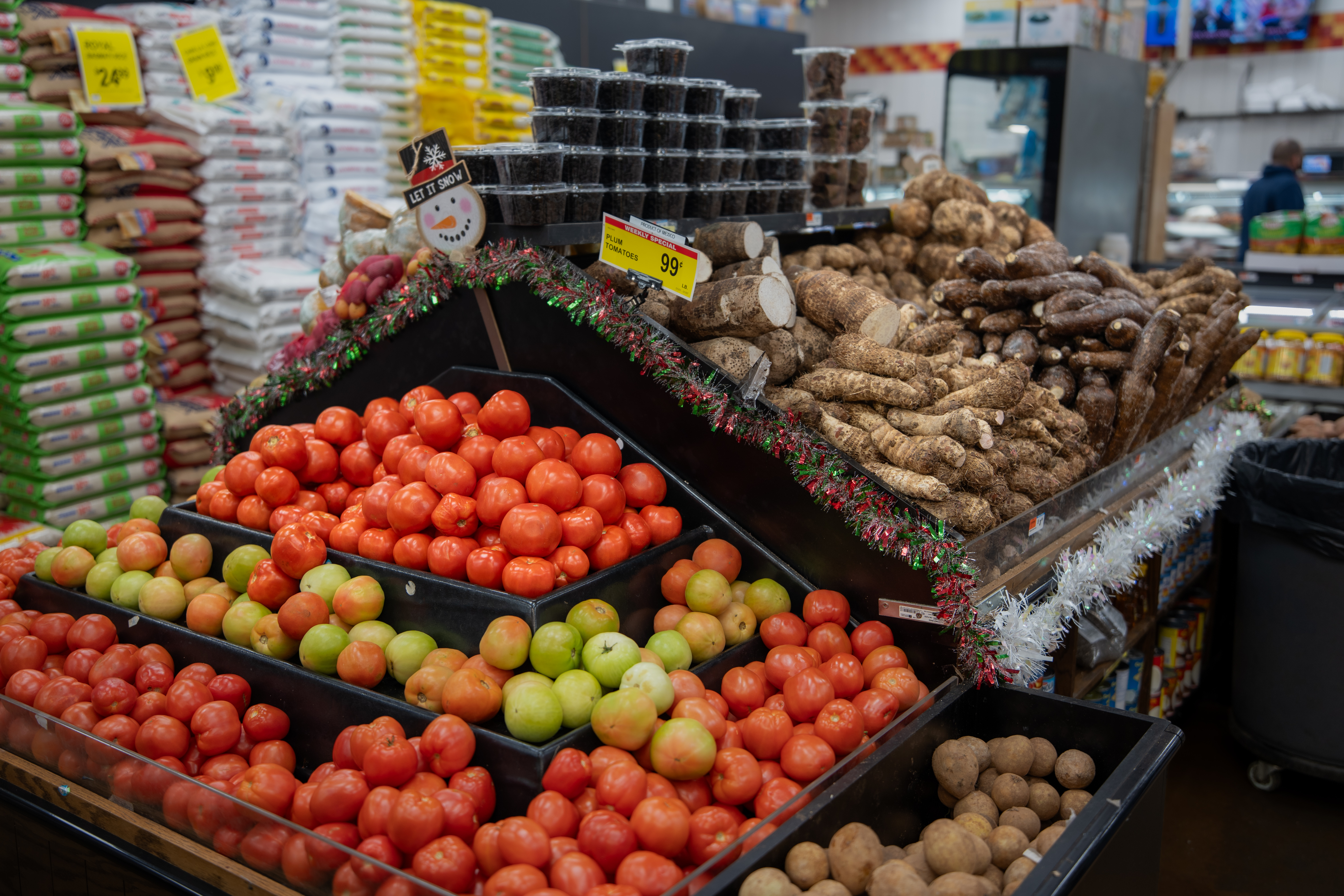 Selección de Vegetales Frescos
