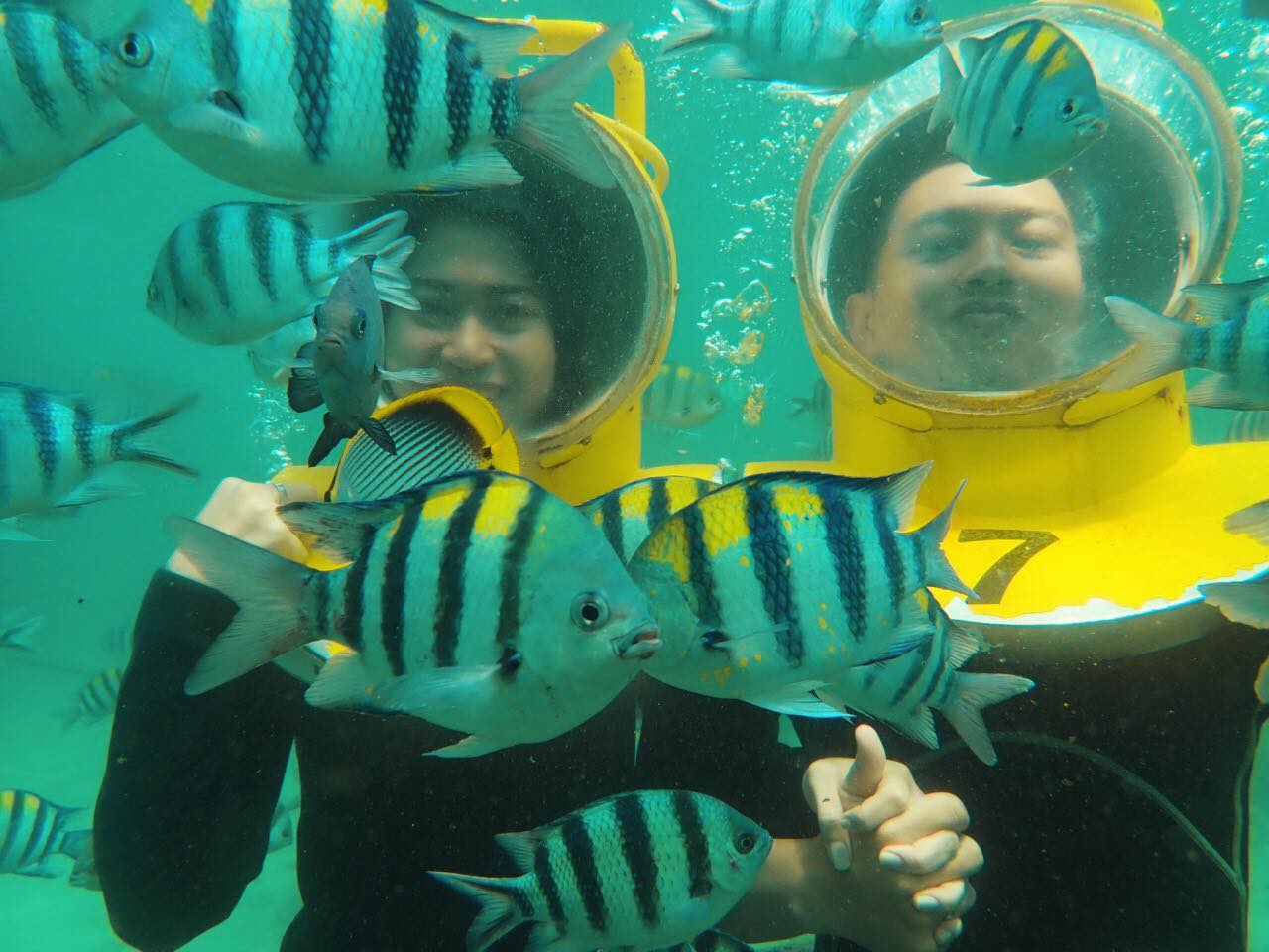 Underwater Sea Walk Experience (25 min)