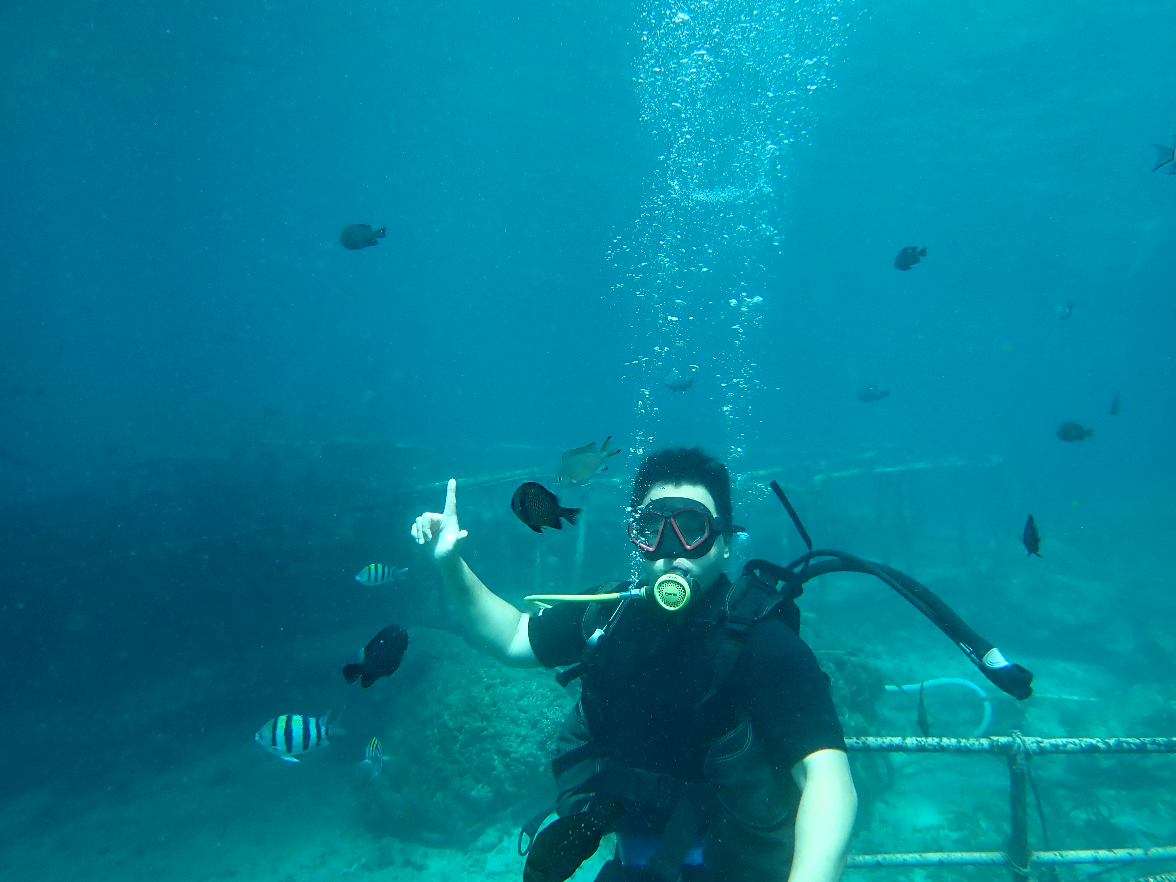 Scuba Diving Adventure