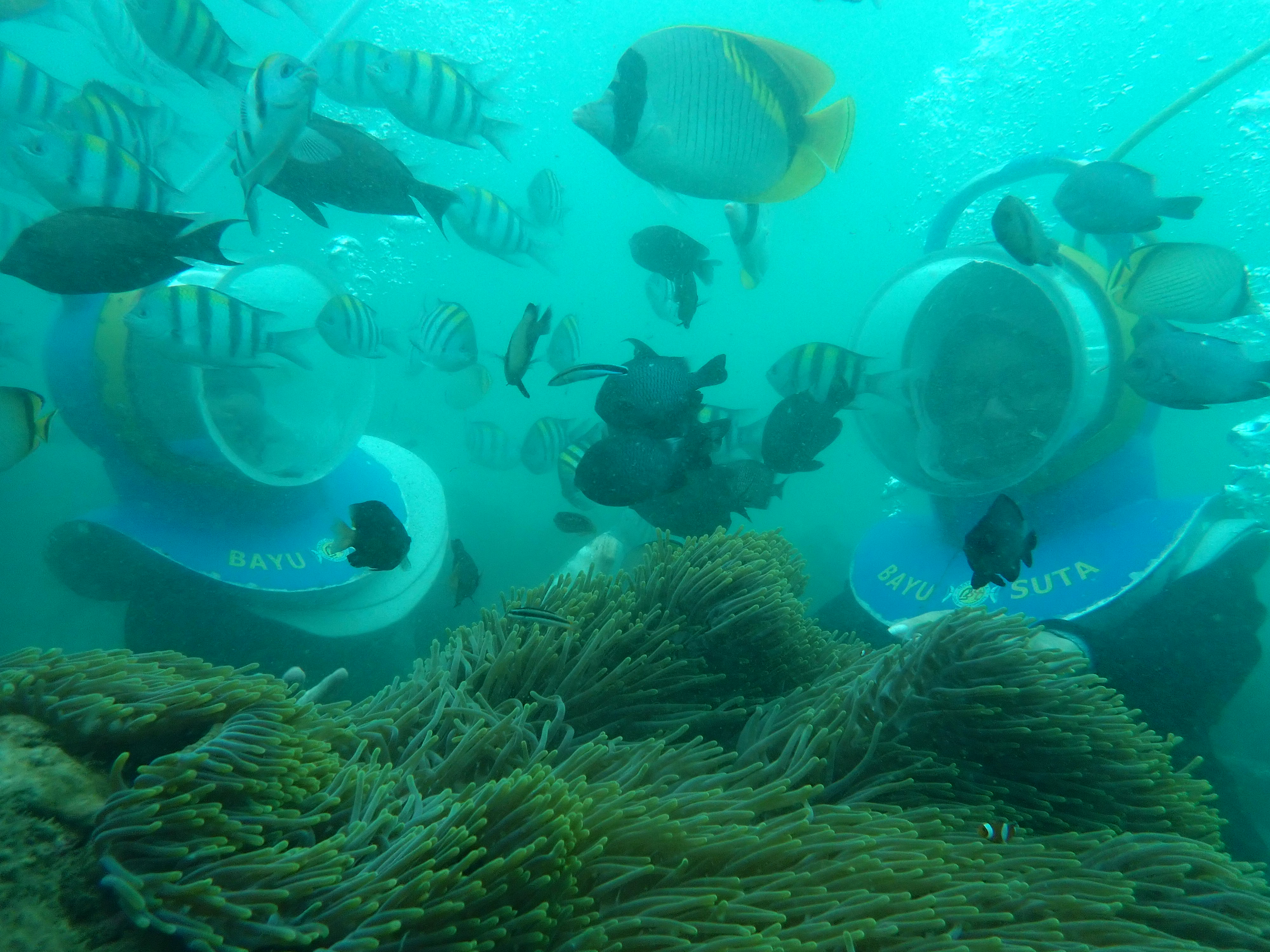 Underwater Sea Walk Experience (25 min)