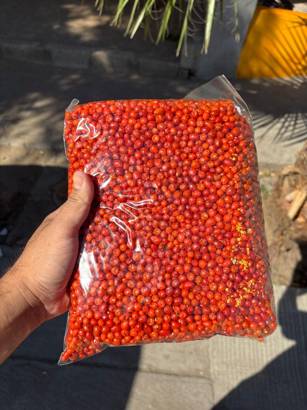 Venta de Chiltepín Seco por Kilo - Cosecha de Sinaloa