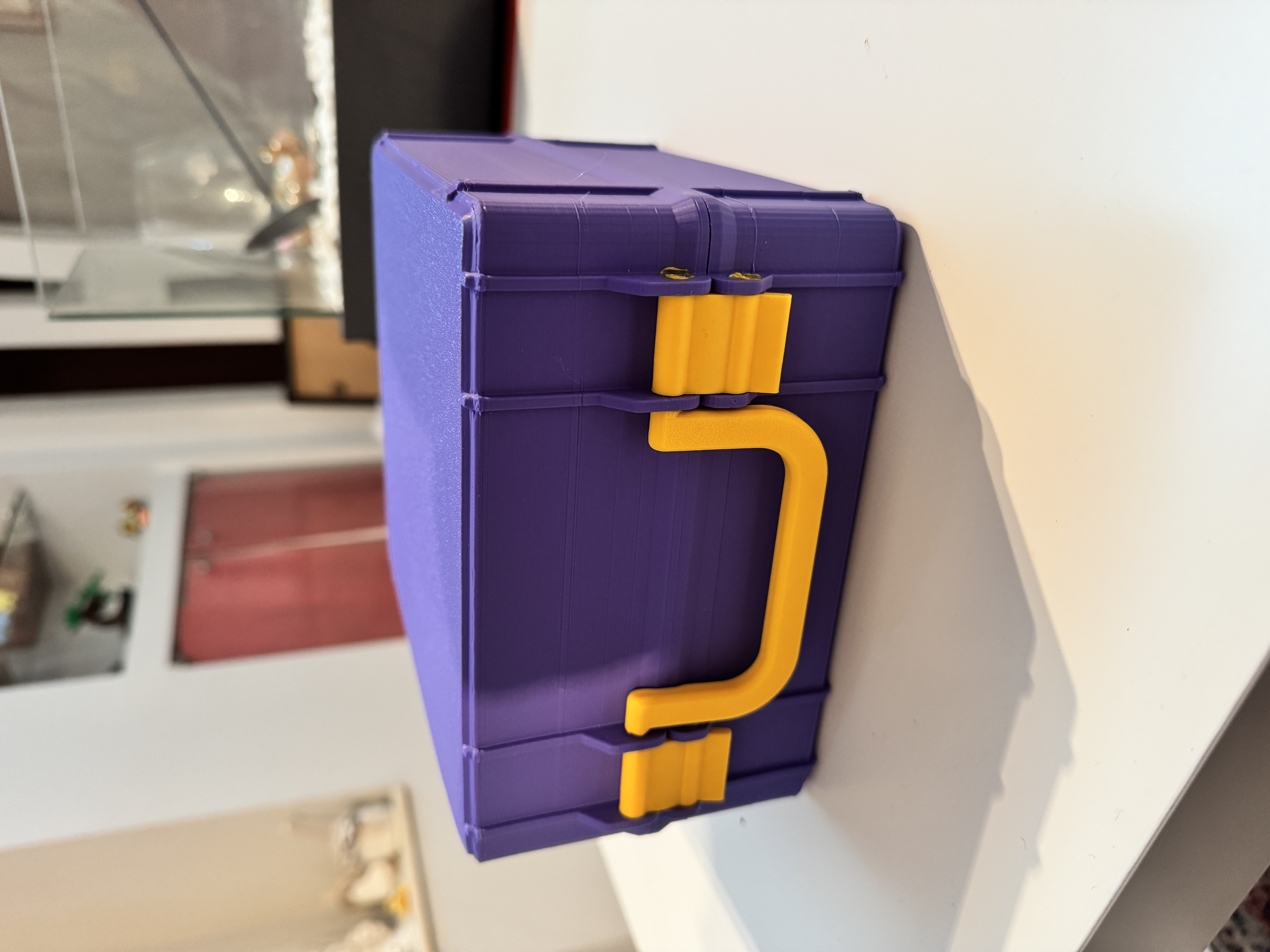 Valigetta Porta Mazzi e carte sfuse da stock, Ideale per Pokémon e Magic.