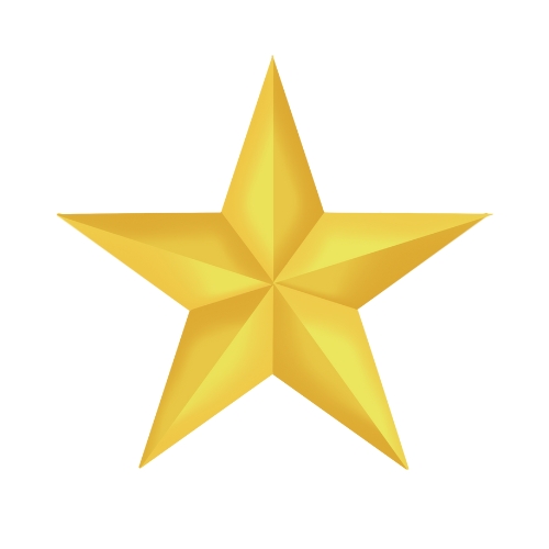 Gold Star Recognition Service