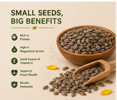 Premium Sunflower Seeds