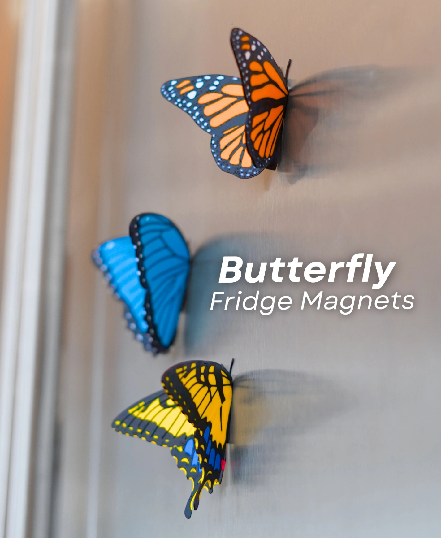 Butterfly Fridge Magnets