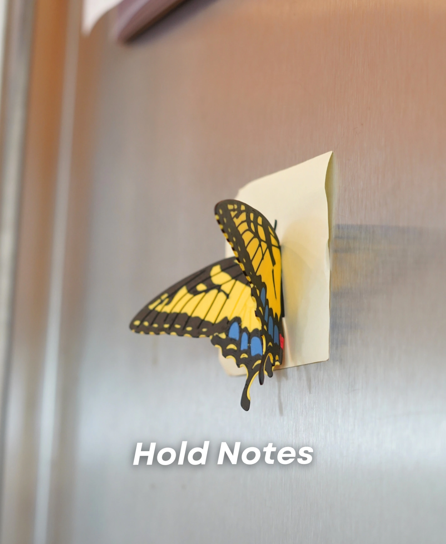 Butterfly Fridge Magnets