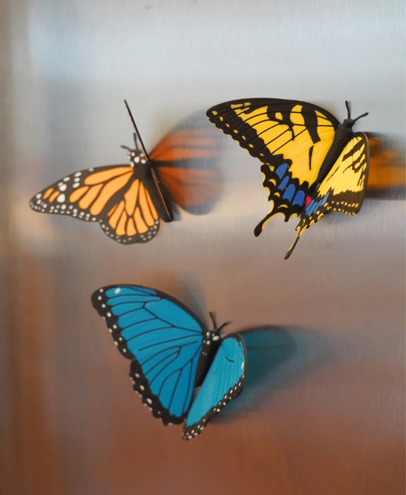 Butterfly Fridge Magnets