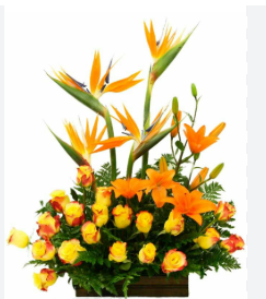 Arreglo floral tropical