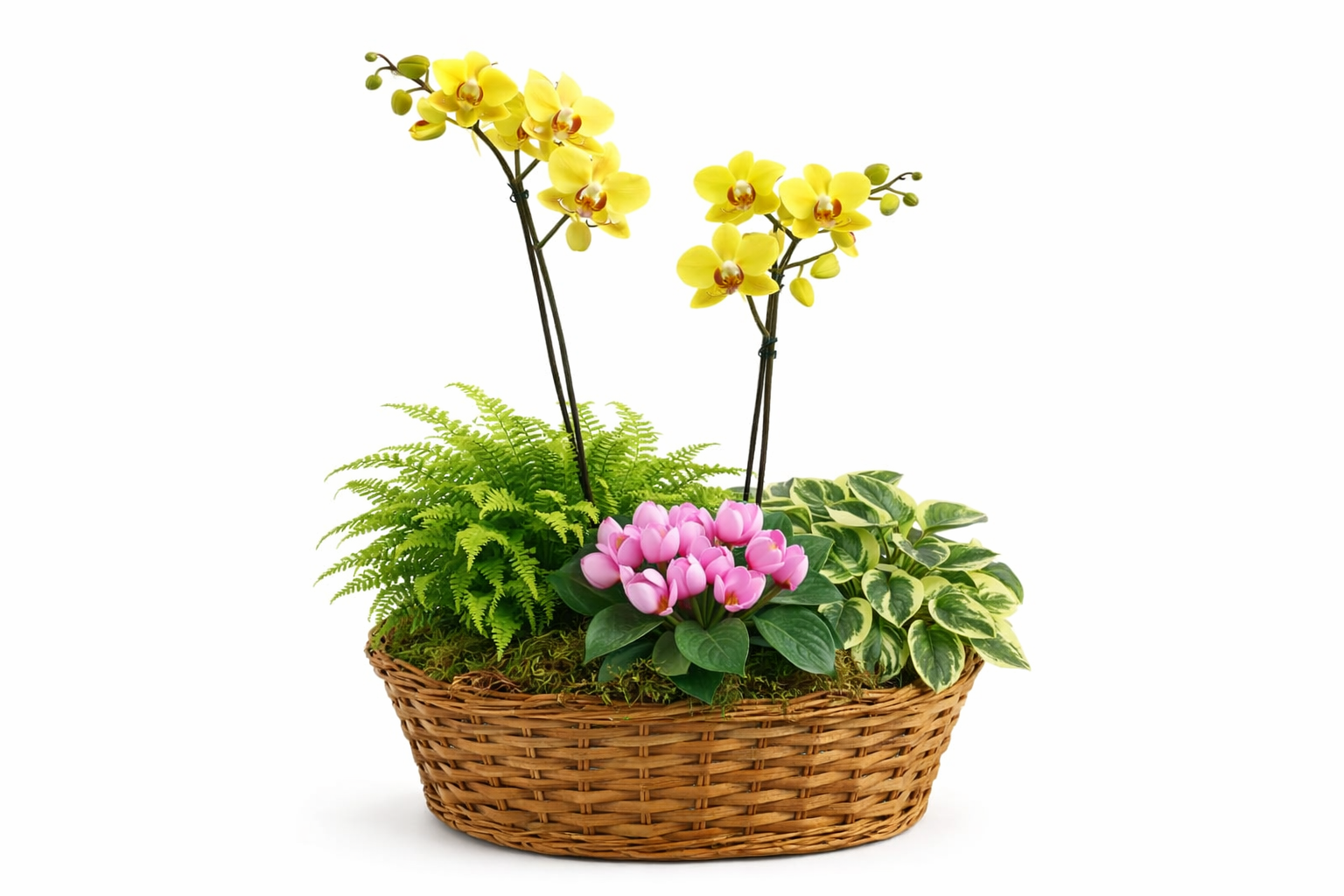 Arreglo Floral en Canasta